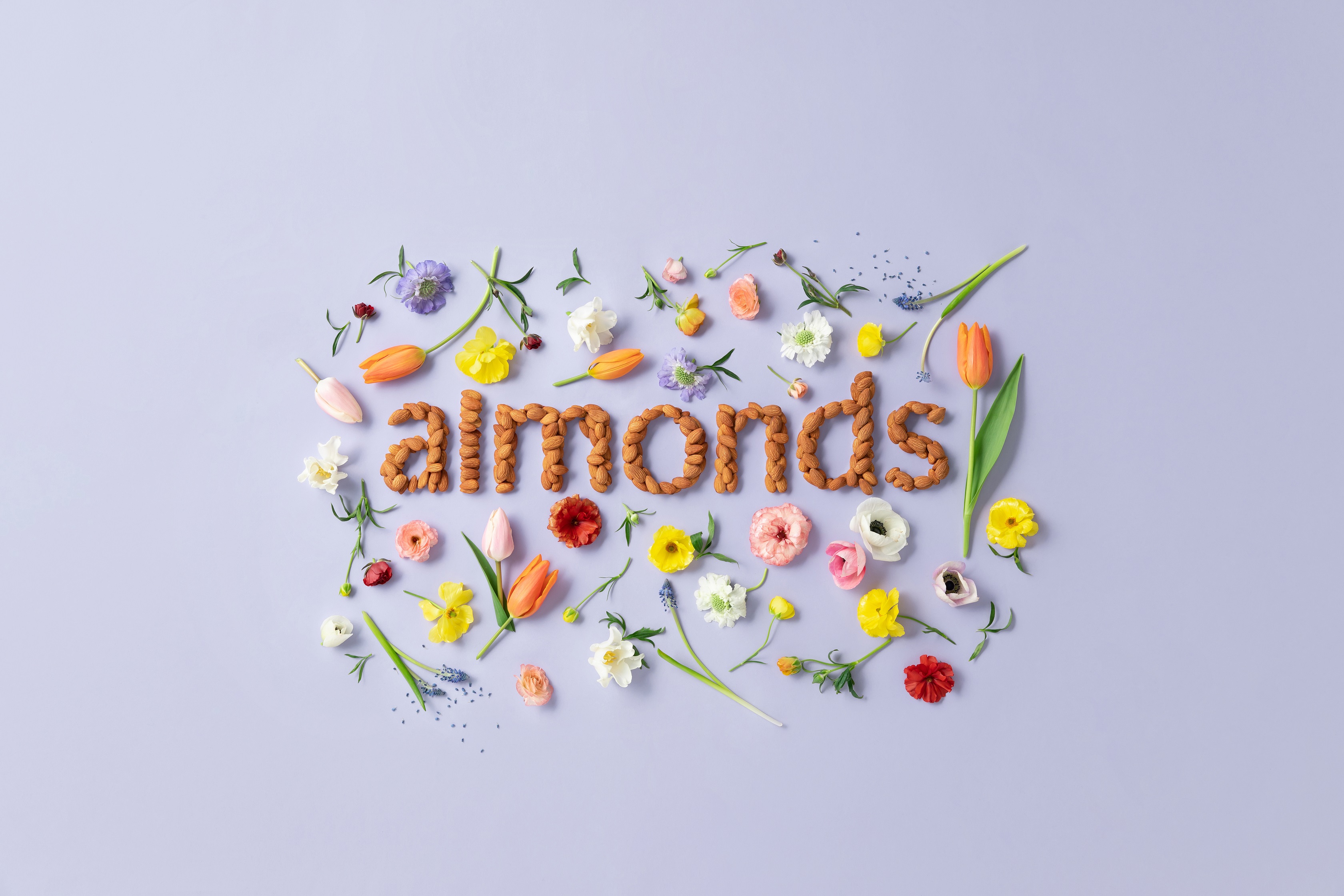 Almonds Spring